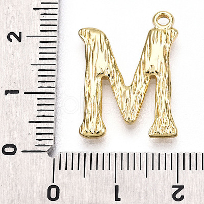 304 Stainless Steel Pendants STAS-N117-01G-M-1