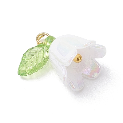 5Pcs Transparent Acrylic Pendants PALLOY-JF04703-01-1