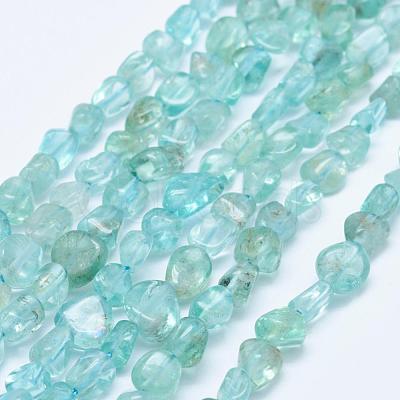 Natural Apatite Beads Strands G-K203-50B-1