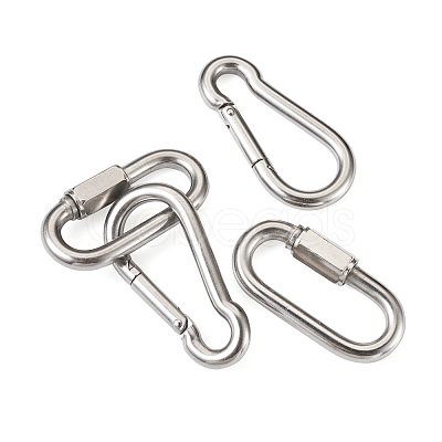 6Pcs 2 Style 304 Stainless Steel Rock Climbing Carabiners STAS-TA0001-33P-1