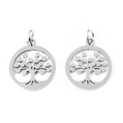 304 Stainless Steel Pendants LS-STAS-T046-JA350-1A-P-1