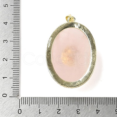 Natural Rose Quartz & Amethyst Pendants G-P599-05G-03-1