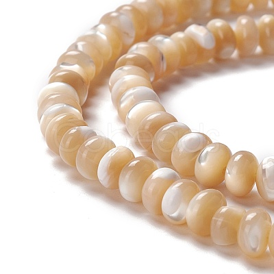 Natural Trochid Shell/Trochus Shell Beads Strands SSHEL-O001-24A-01-1