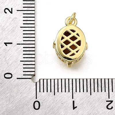 Brass Glass Charms KK-V011-34G-1