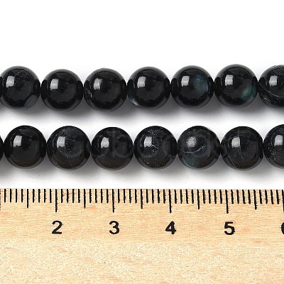 Natural Black Lip Shell Beads Strands SSHEL-C013-01C-1