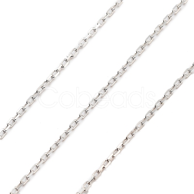 925 Sterling Silver Paperclip Chains STER-P064-04P-1