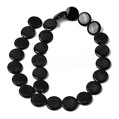 Natural Freshwater Shell Beads Strands SHEL-A006-01A-1