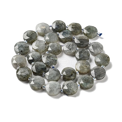 Natural Labradorite Beads Strands G-NH0004-001-1