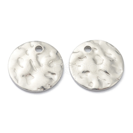 Tarnish Resistant 304 Stainless Steel Charms STAS-H157-03B-P-1