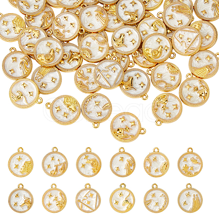 48Pcs 12 Styles Alloy Enamel Pendants FIND-HS0002-50G-1