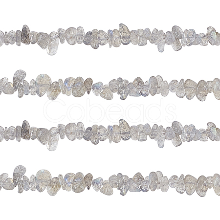 Natural Labradorite Bead Strands G-GL0001-03-1