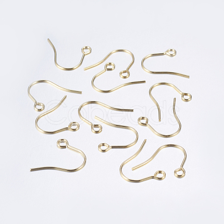 304 Stainless Steel Earring Hooks STAS-P162-13P-B-1