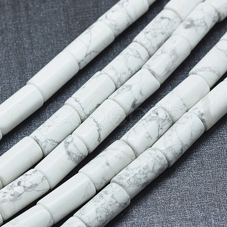 Natural Howlite Beads Strands G-F631-F03-1