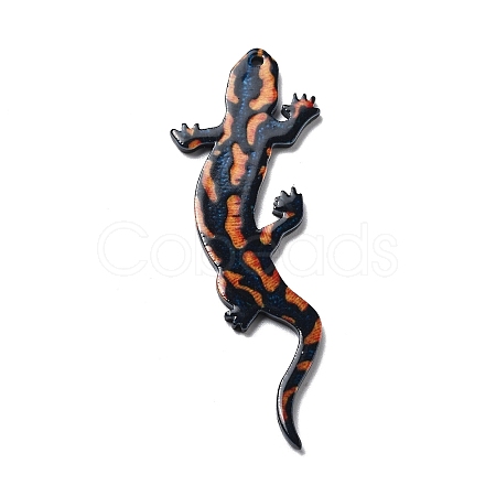 Acrylic Pendants OACR-I016-10-1