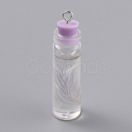 Transparent Glass Bottle Pendant Decorations EGLA-B002-01E-1