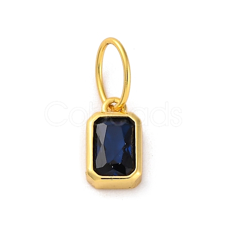 925 Sterling Silver Cubic Zirconia Charms STER-NH0014-01G-10-1