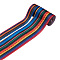 2Rolls 2 Styles Stripe Pattern Printed Polyester Grosgrain Ribbon, for DIY Bowknot Accessories, Colorful, 1roll/style