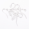 Iron Earring Hooks J079F-S-1