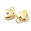 Brass Micro Pave Clear Cubic Zirconia Pendants LS-ZIRC-P094-28G-RS-3