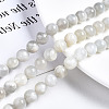 Natural White Moonstone Beads Strands G-N328-51B-01-1