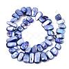 Natural Freshwater Shell Beads Strands SHEL-N026-123G-2