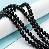 Natural Black Onyx Beads Strands G-Z024-01B-4