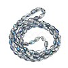 Electroplate Glass Beads Strands EGLA-J013-4x6mm-H03-2