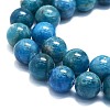 Natural Apatite Beads Strands G-K245-A03-05-3