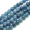 Natural Apatite Beads Strands G-S150-18-10mm-2