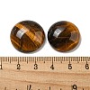 Natural Tiger Eye Cabochons G-C115-02A-36-3