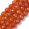 Natural Carnelian Beads Strands G-C280-B10-8mm-4