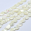 Natural White Shell Beads Strands SSHEL-12X11-3