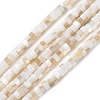 Natural Freshwater Shell Beads Strands X-SSHEL-C013-04A-1