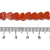 Handmade Lampwork Beads Strands LAMP-Q035-01J-4