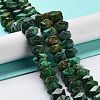 Natural African Turquoise(Jasper) Beads Strands G-D091-A18-2