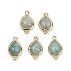 Natural Amazonite Faceted Connector Charms G-L514-048P-07-1