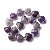 Natural Amethyst Beads Strands G-P570-E17-01-3