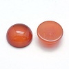 Natural Carnelian Cabochons G-P393-R18-10mm-2