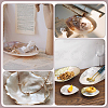 Natural Shell Ring Holder DJEW-WH0001-36-5