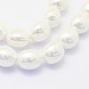 Shell Pearl Beads Strands BSHE-P024-15-3