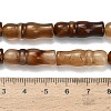 Natural Agate Beads Strands G-Z144-A02-01A-5