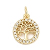 Brass Micro Pave Clear Cubic Zirconia Charms KK-G522-46G-1