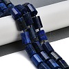 Natural Lapis Lazuli Dyed Beads Strands G-G162-D15-02-2