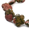 Natural Unakite Beads Strands G-F769-V01-02-4