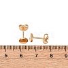 304 Stainless Steel Stud Earring Findings STAS-H436-21G-04-3