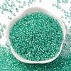 Glass Cylinder Beads SEED-L011-11B-17-2