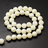 Natural Sea Shell Beads Strands SSHEL-K013-10mm-A-2