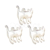 Natural White Shell Pendants SSHEL-N038-05A-01-1