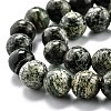 Natural Green Zebra Jasper Beads Strands G-O199-05B-3