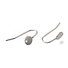 304 Stainless Steel Earring Hooks STAS-B087-09A-P-2